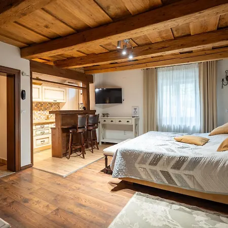 Guest house Pensiunea Casa Cranta Brasov