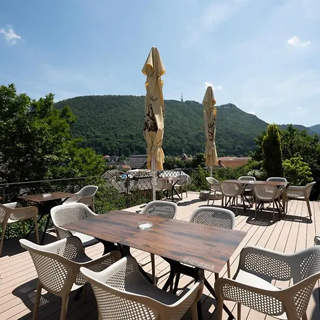 Guest house Pensiunea Casa Cranta Brasov