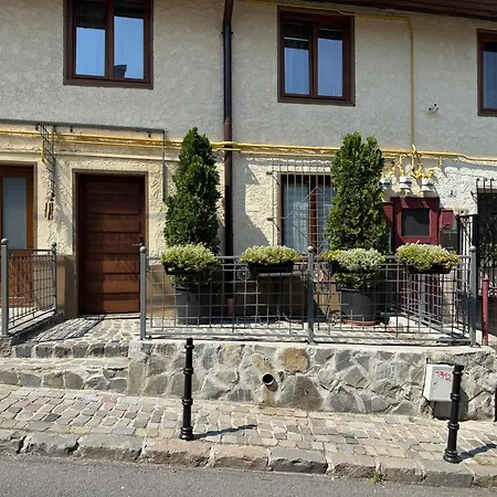 Guest house Pensiunea Casa Cranta