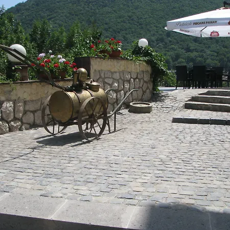 Pensiunea Casa Cranta Guest house