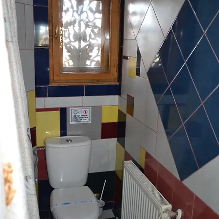 Πανσιόν Pensiunea Casa Cranta 3*