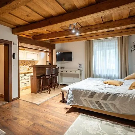 Gæstehus Pensiunea Casa Cranta Braşov