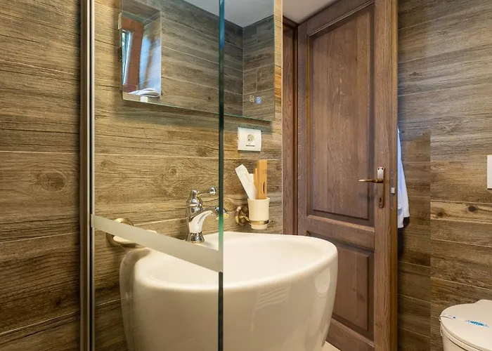 Pensionat Pensiunea Casa Cranta Braşov