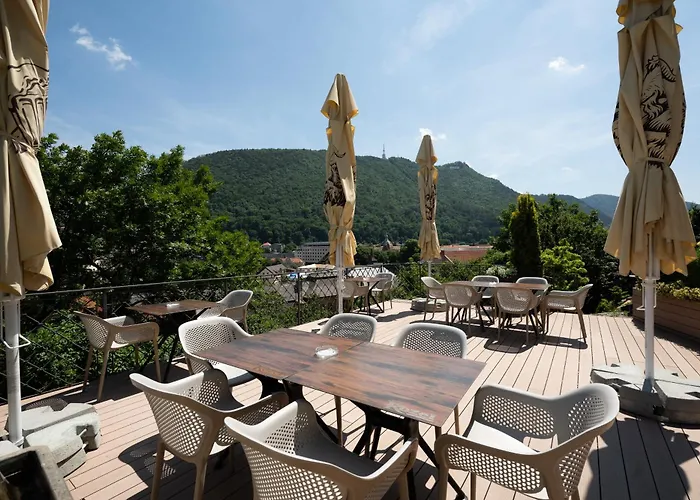 Pensionat Pensiunea Casa Cranta Braşov