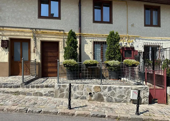 Pensionat Pensiunea Casa Cranta