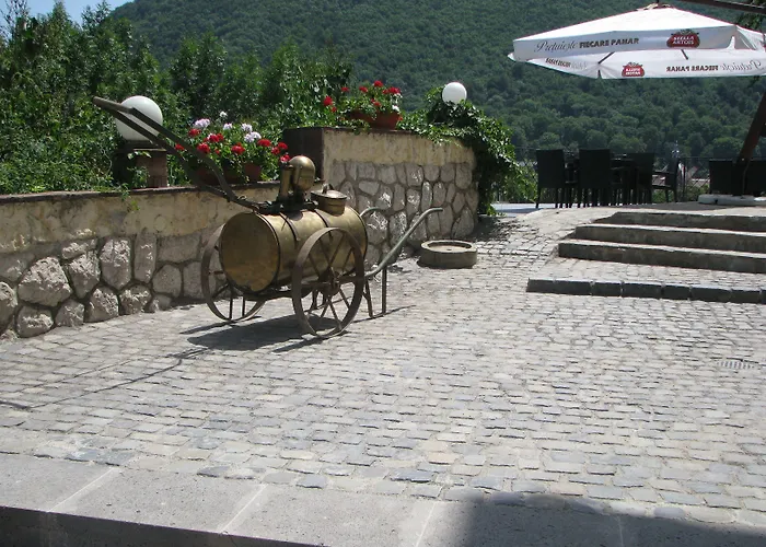 Pensiunea Casa Cranta Gasthuis